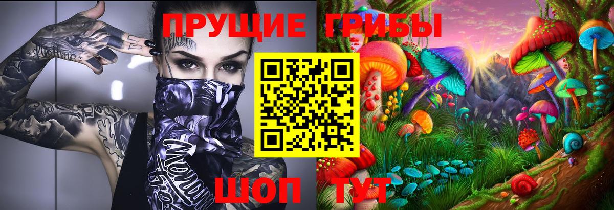 Минеральные Воды  Галлюциногенные грибы Psilocybe  Вход с VPN 